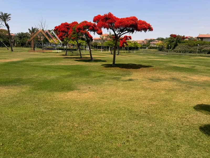 11 8e72c5aa-e5e3-4f87-a207-d42a72f1cc35. jpeg