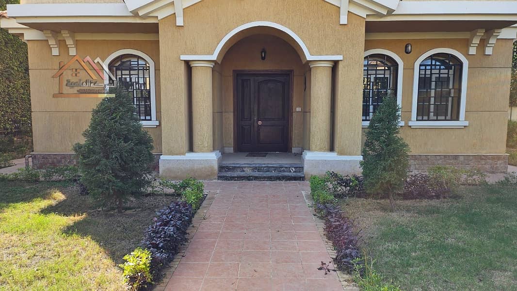 33 e9924868-d916-407d-8235-ffcd3b5373ff. jpeg