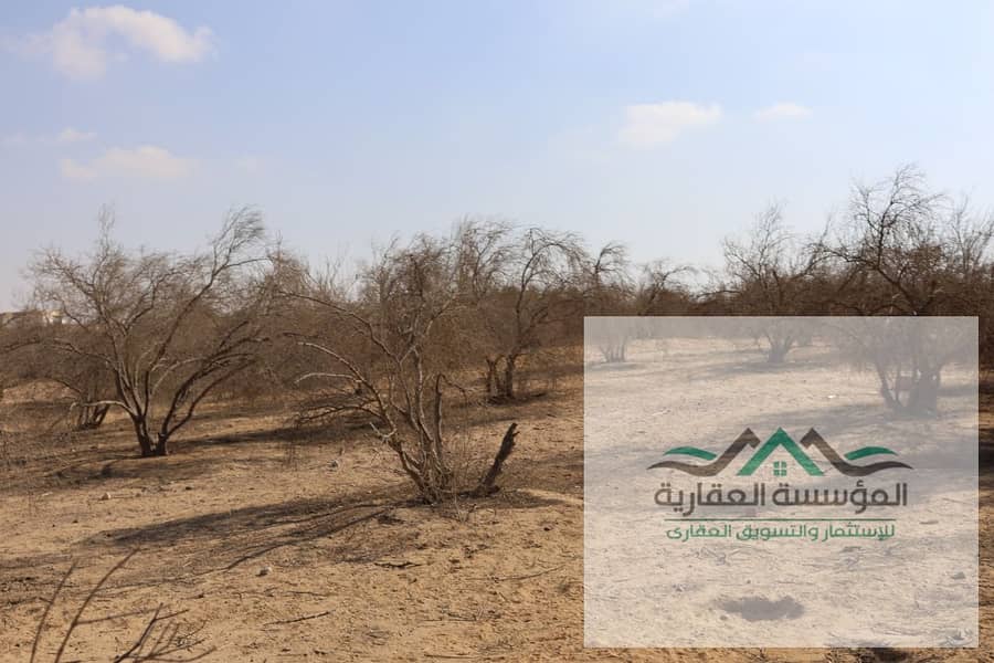 7 WhatsApp Image 2025-11-01 at 12.44. 01_acc6bede. jpg