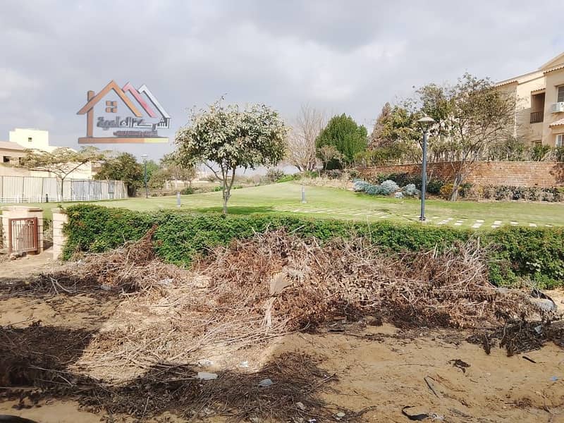 16 WhatsApp Image 2025-02-12 at 1.40. 43 AM. jpeg