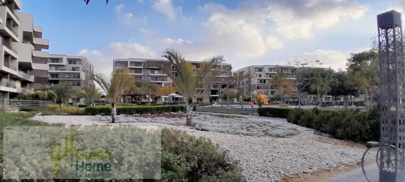 2 20260109_161918. jpg