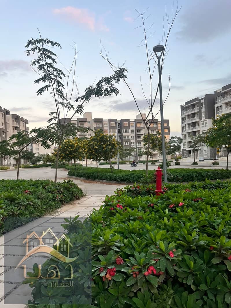 9 WhatsApp Image 2026-01-24 at 2.01. 21 PM. jpeg