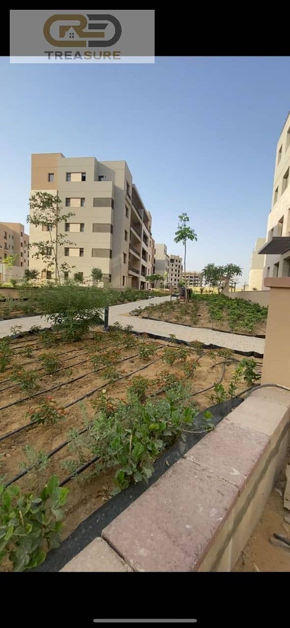 6 WhatsApp Image 2026-01-29 at 12.16. 39 PM (3). jpeg