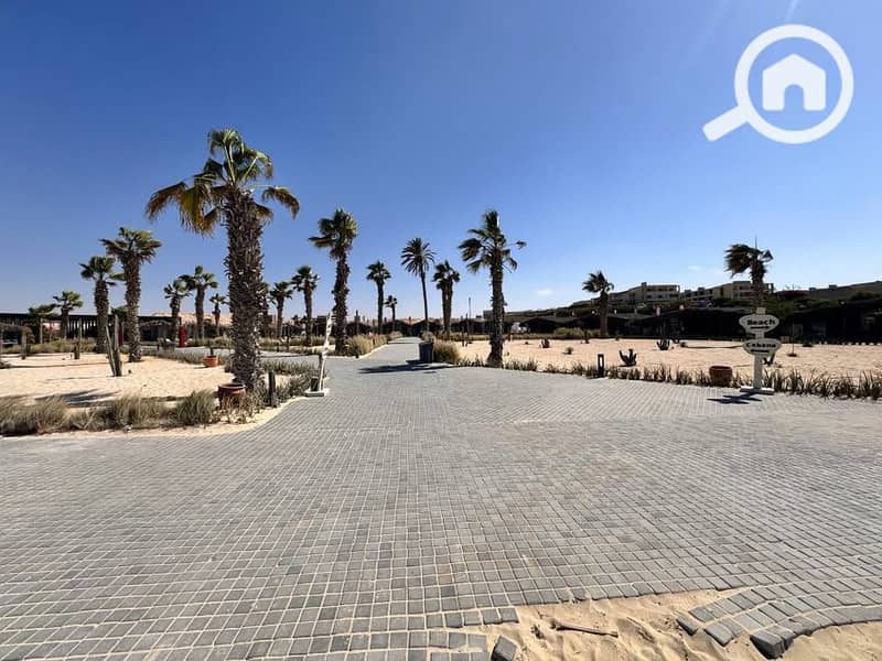 11 550460585_25382931414626912_6728977693674170836_n. jpg