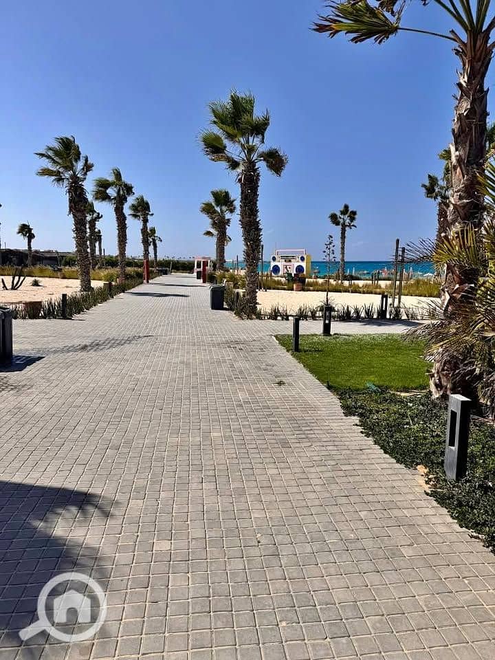 13 567684765_25673858175534233_6775803984210632044_n. jpg