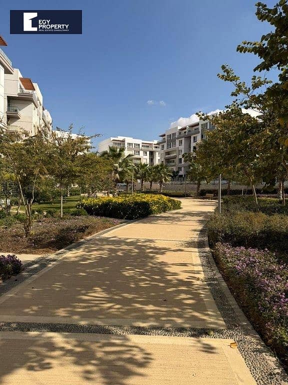 5 _files_1000516195. jpg