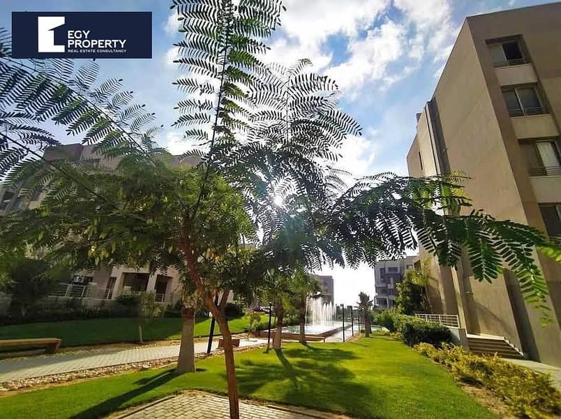 4 608426611_4212752192295679_2619395156189156485_n. jpg