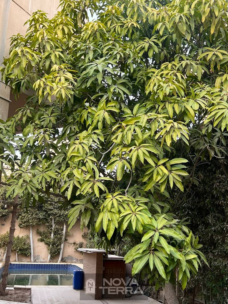 2 WhatsApp Image 2026-01-24 at 5.10. 26 PM (2). jpeg