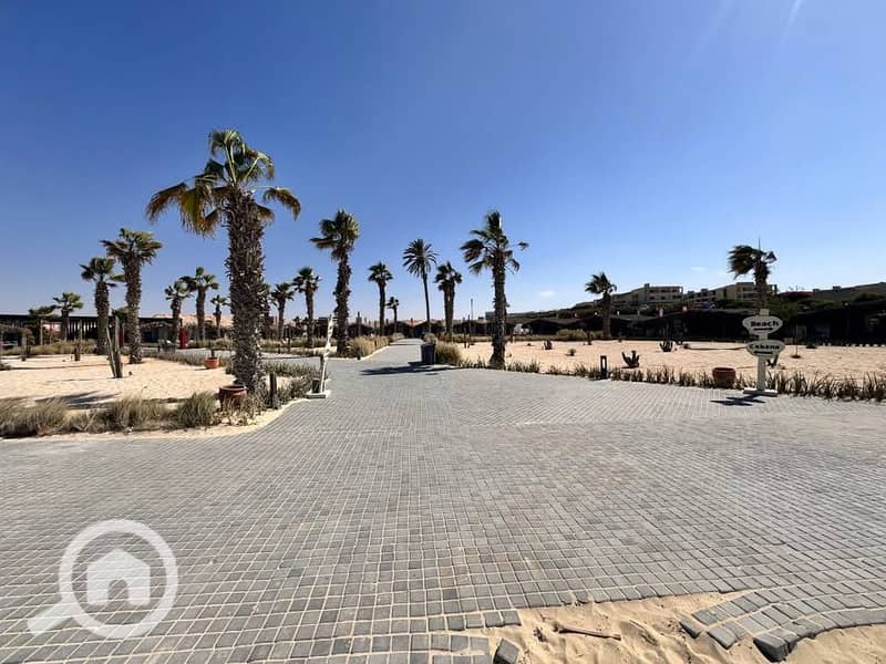 7 550460585_25382931414626912_6728977693674170836_n. jpg