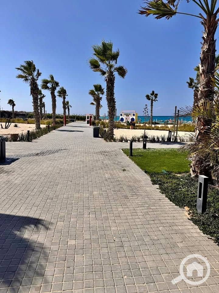 8 567684765_25673858175534233_6775803984210632044_n. jpg