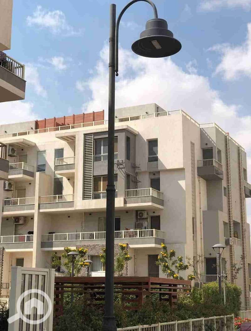 4 FB_IMG_1744729105543. jpg