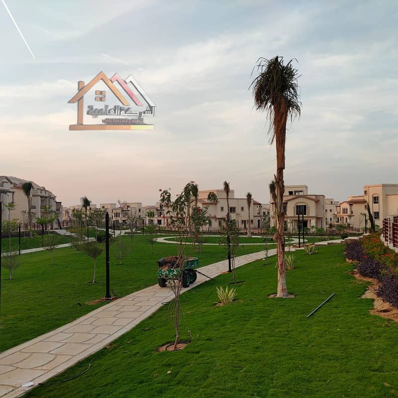 13 d909f21f-f7cd-4d3e-8ca0-63d068014eff. jpg