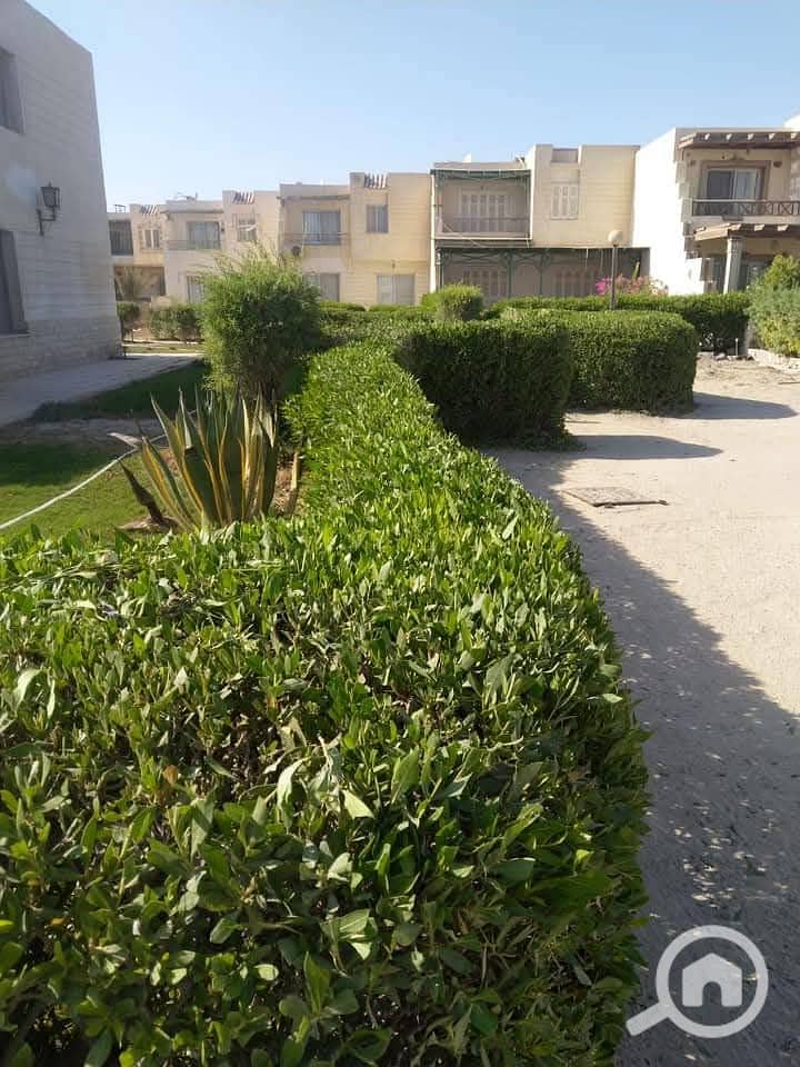 4 WhatsApp Image 2026-01-03 at 22.58. 35 (1). jpeg