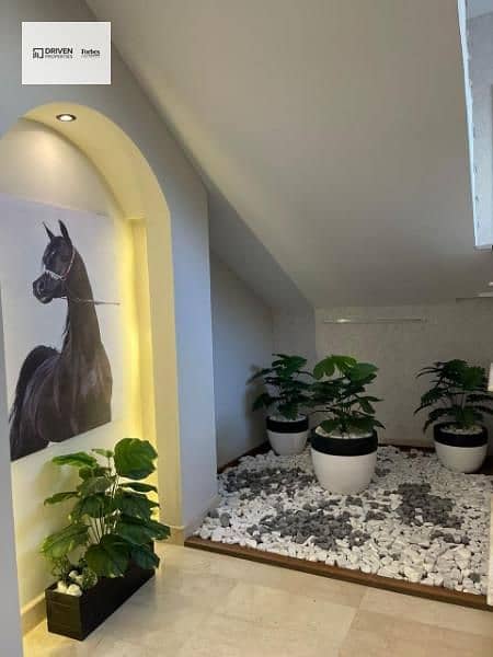 6 818e496c-6acf-4f66-8223-cef42e0d91ea. jfif. jpg