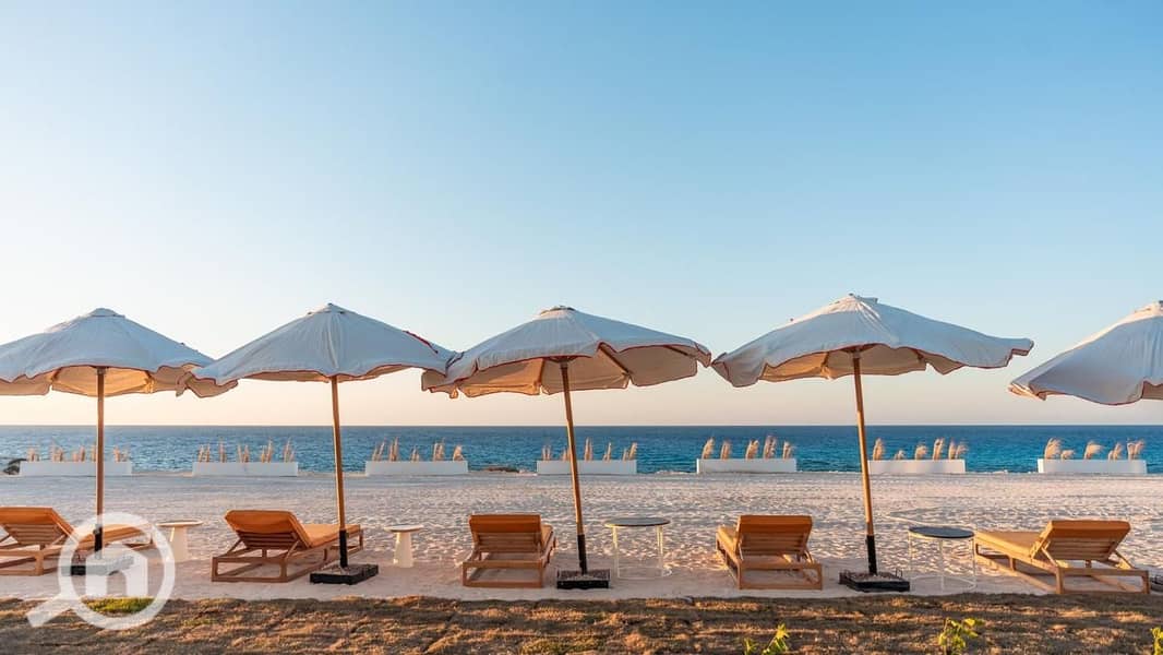 3 WhatsApp Image 2026-01-29 at 3.09. 24 PM (6). jpeg