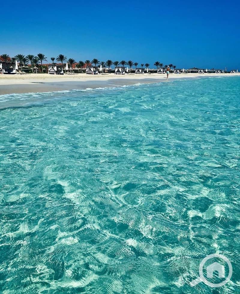 4 WhatsApp Image 2026-01-29 at 3.09. 24 PM (1). jpeg