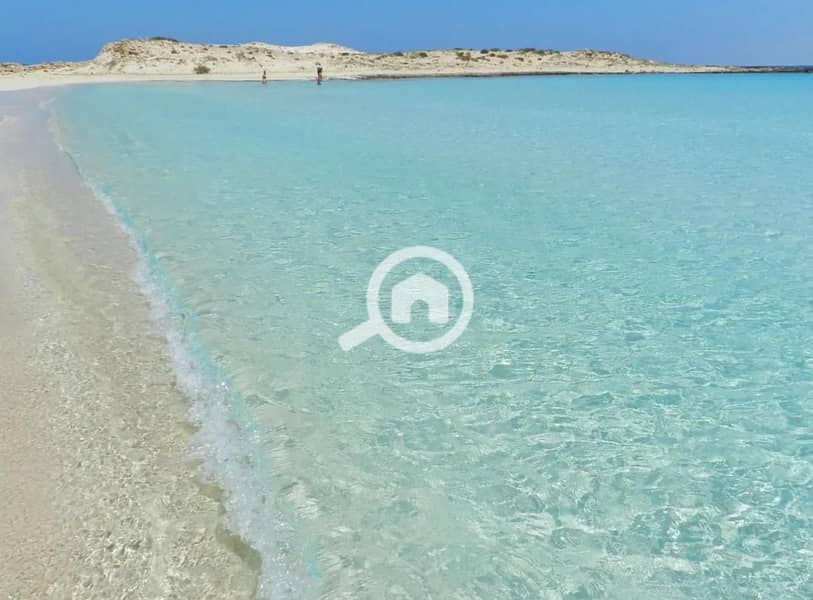 5 WhatsApp Image 2026-01-29 at 3.09. 24 PM (2). jpeg