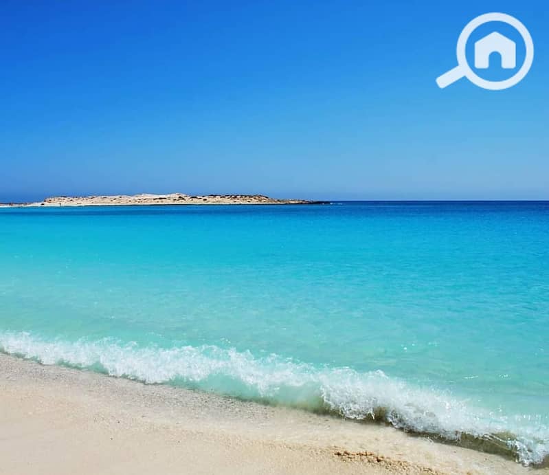 15 WhatsApp Image 2026-01-29 at 3.09. 24 PM. jpeg