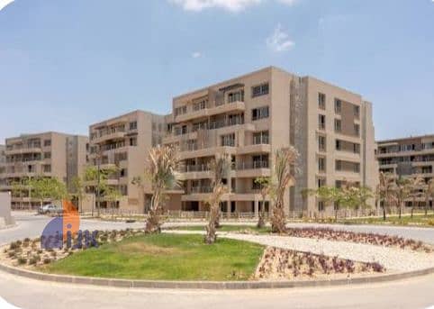 7 IMG_٢٠٢٦٠١٢٩_١٥٠٨٠٩. jpg