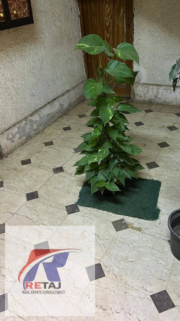 5 WhatsApp Image 2026-01-29 at 1.44. 04 PM (3). jpeg