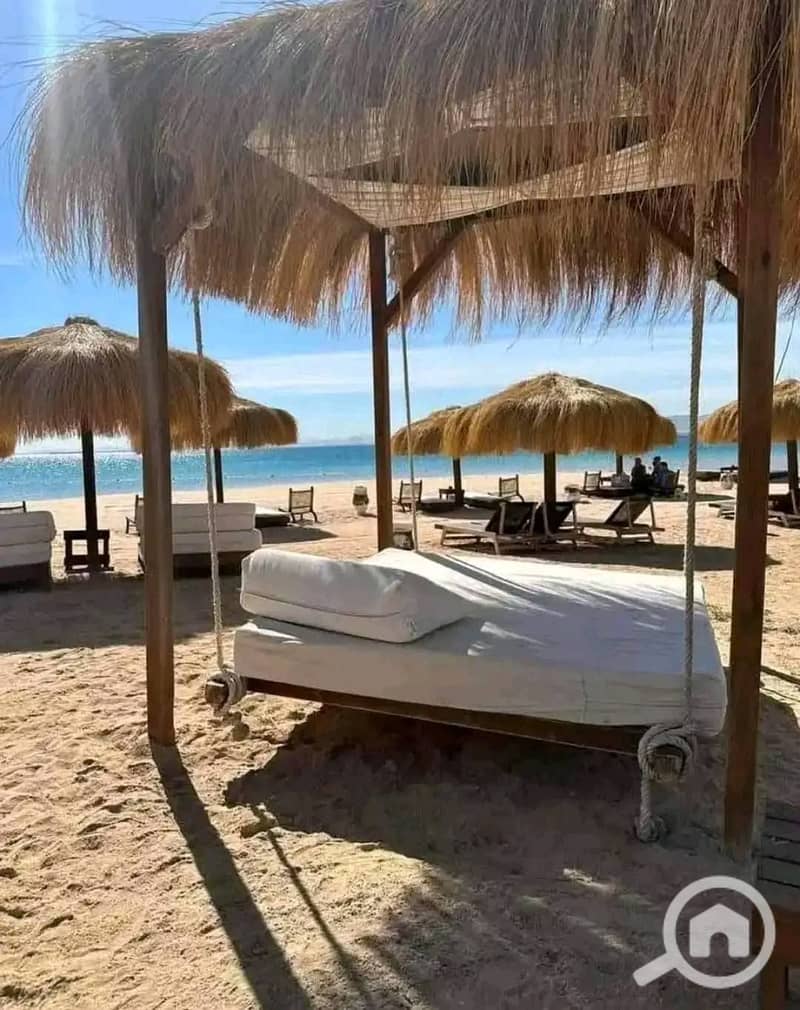 8 622216021_2276247466232331_7441301178445976083_n. jpg