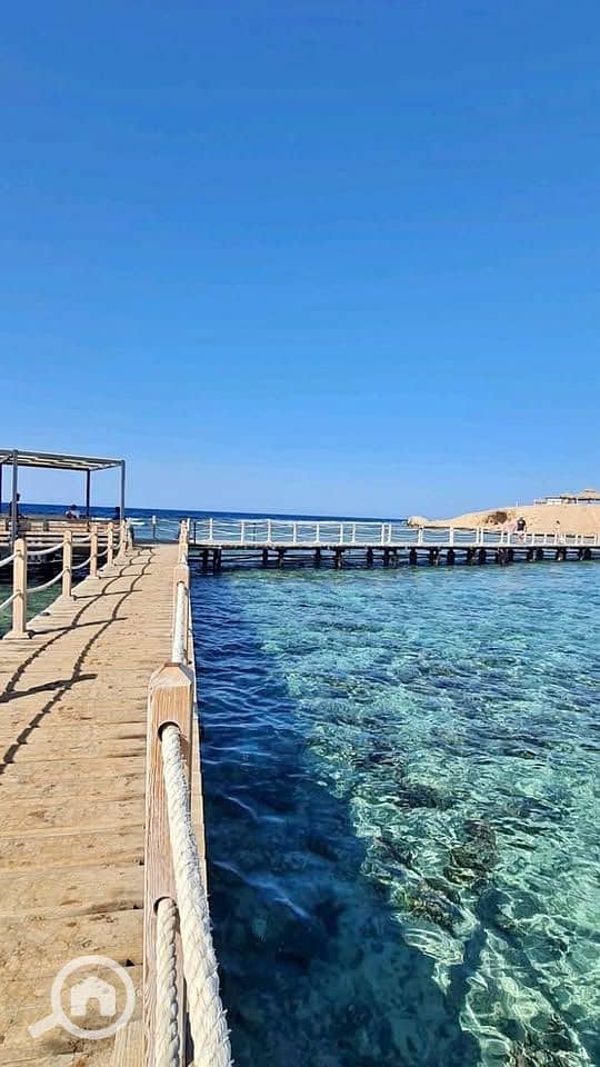 5 615933068_122131891041048691_6696402012958520673_n. jpg