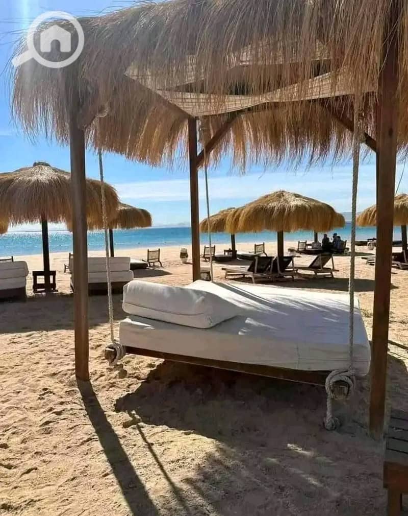 8 622216021_2276247466232331_7441301178445976083_n. jpg