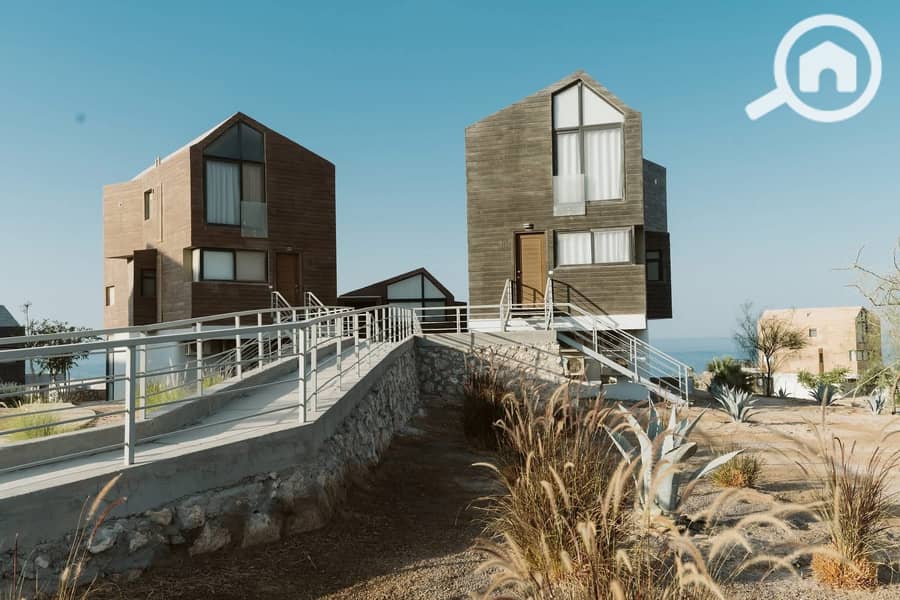 7 619745036_122172861386770883_4467631139509564051_n. jpg