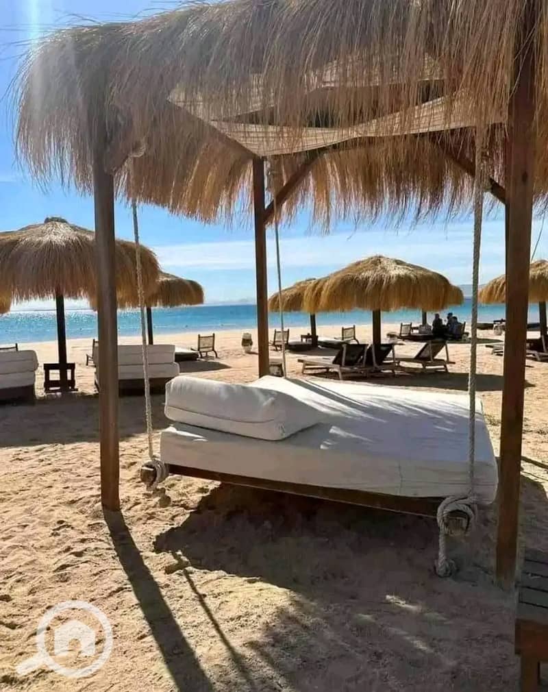 9 622216021_2276247466232331_7441301178445976083_n. jpg