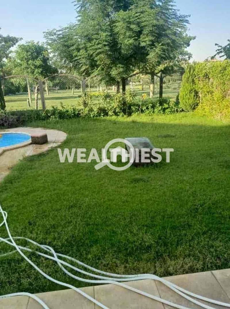 4 47ea3b5c-e82c-49cc-ad74-75e984f93249. jpg