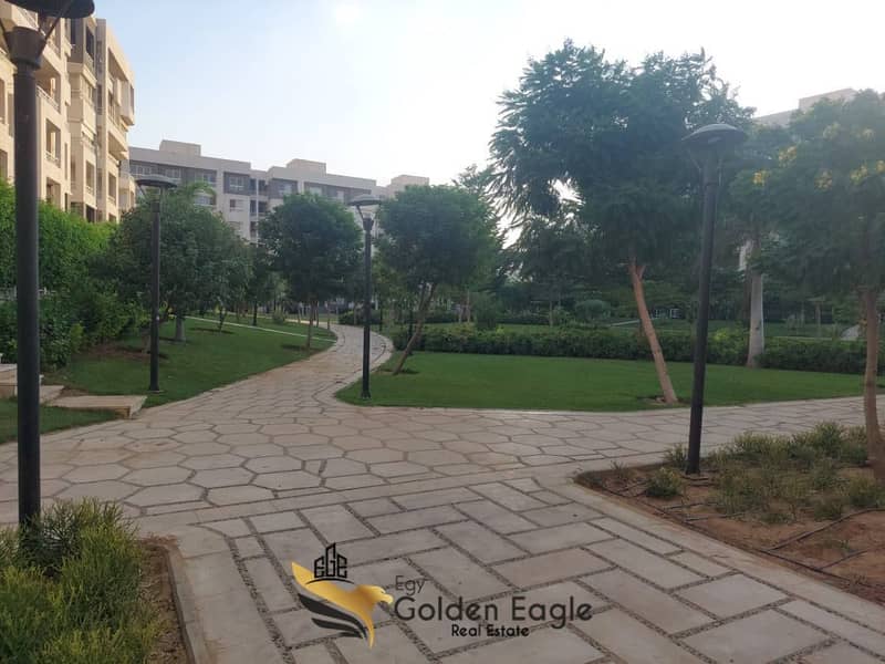 4 617036529_1565956494634877_6826638848337542401_n. jpg