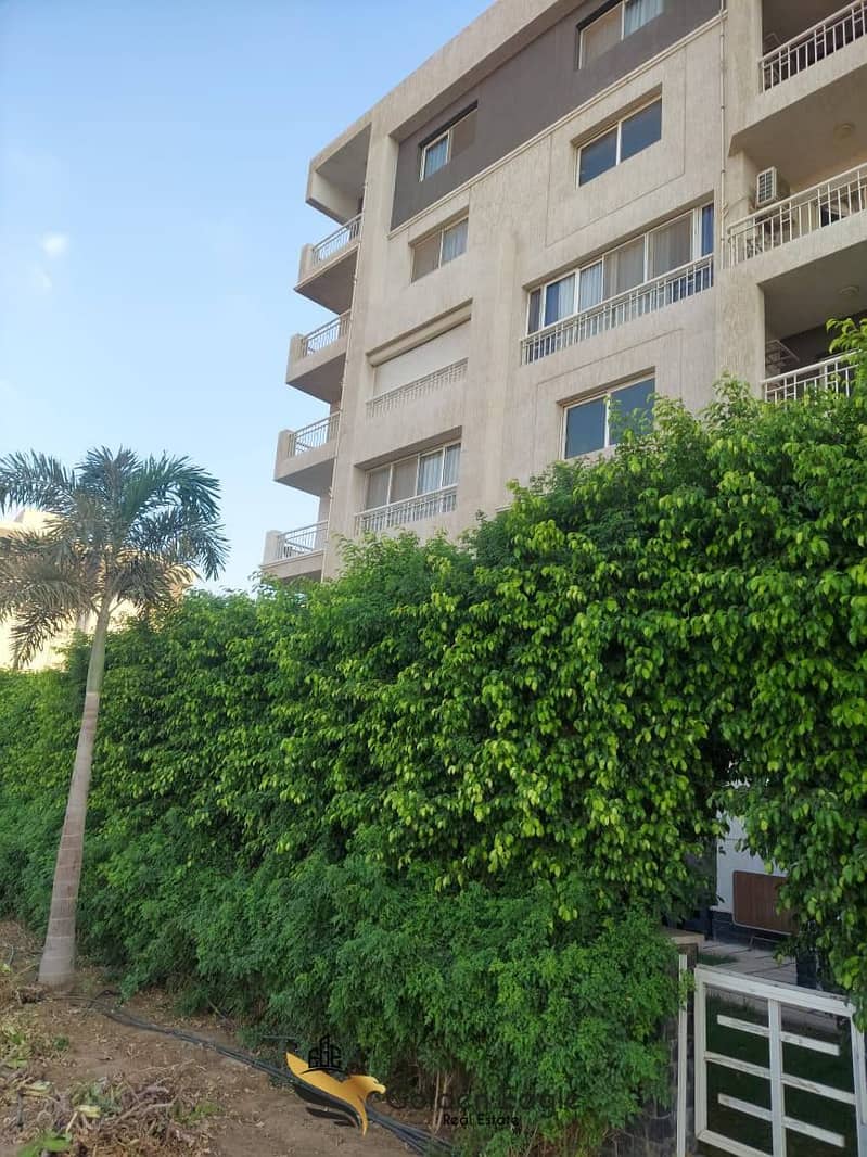 11 618513177_1565956724634854_5165271302446874220_n. jpg