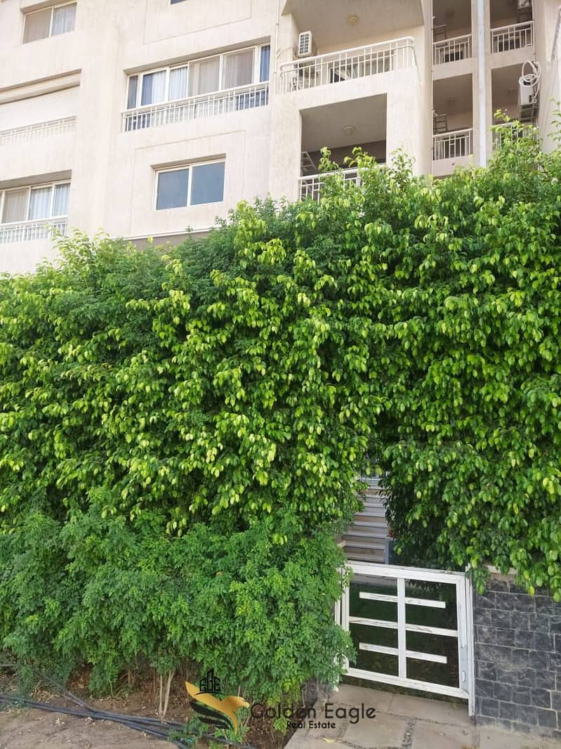 15 619280236_1565956317968228_7357480570226136178_n. jpg