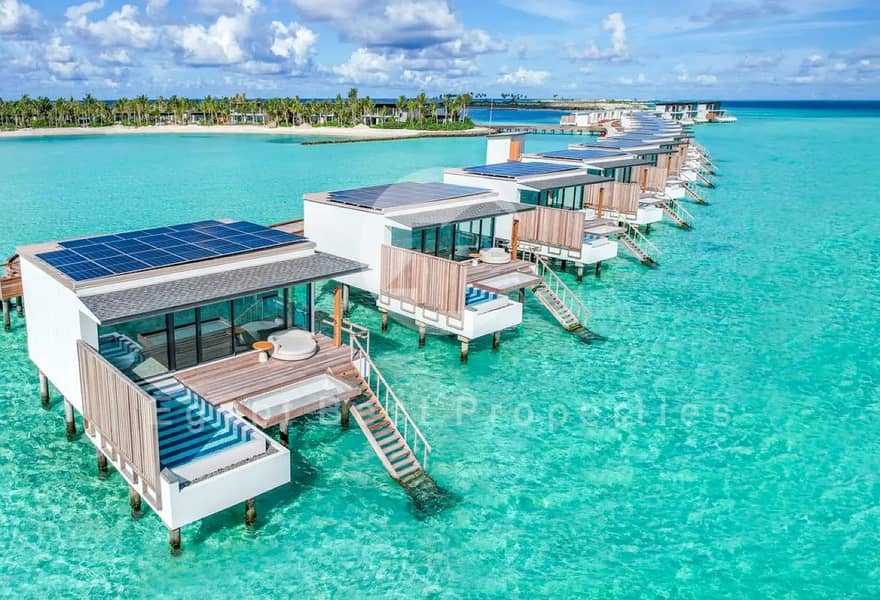 14 7603632-14dd9o. jpg