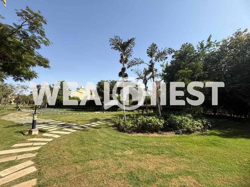 11 8e466caf-3c0a-4492-a5bf-5628142702e1. jpg