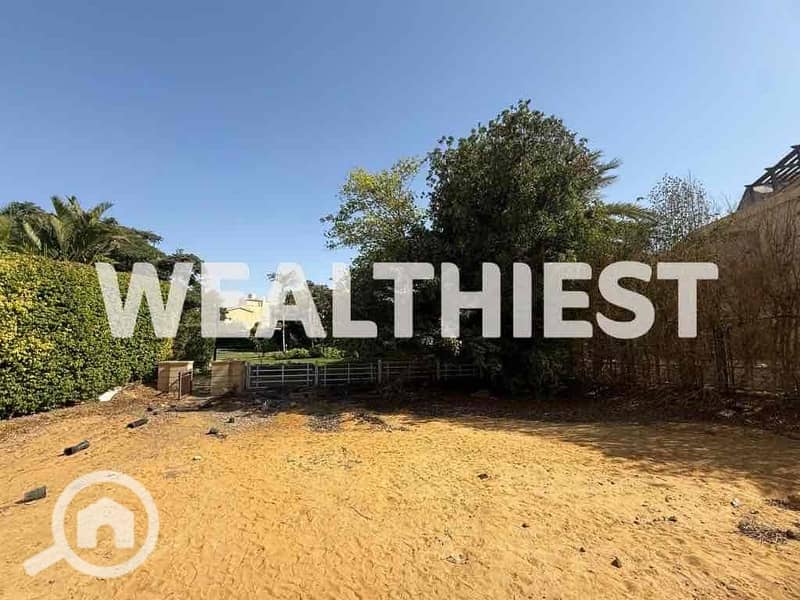 14 61205a67-7f93-4d73-abf1-adbc1ae43a2d. jpg