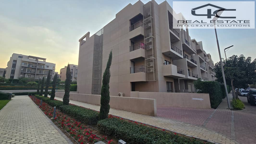 3 20251117_161814. jpg