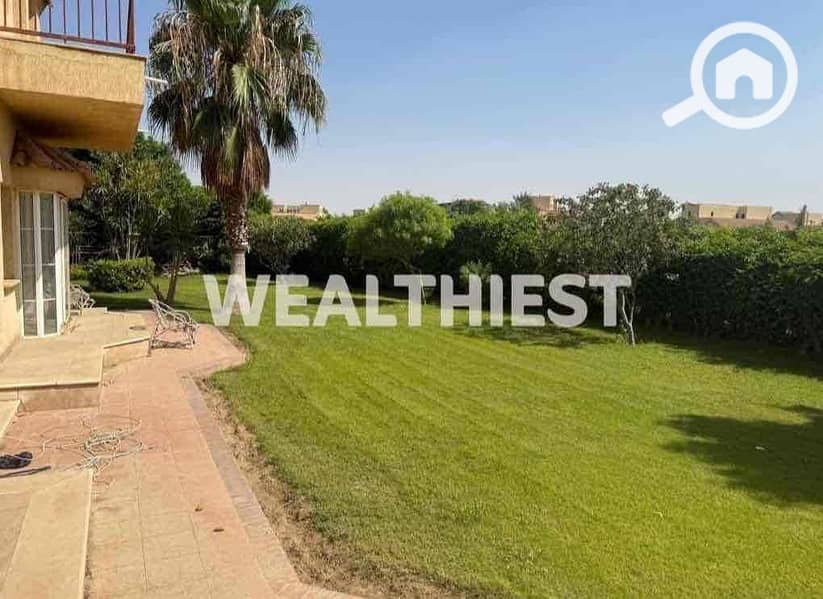 17 149deb49-a16f-4383-a565-956d79524529. jpg