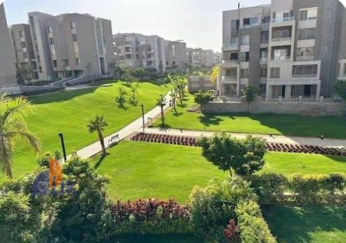 5 IMG_٢٠٢٦٠١٢٩_١٦٠٠١١. jpg