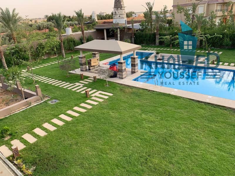 5 WhatsApp Image 2026-01-29 at 3.17. 36 PM. jpeg