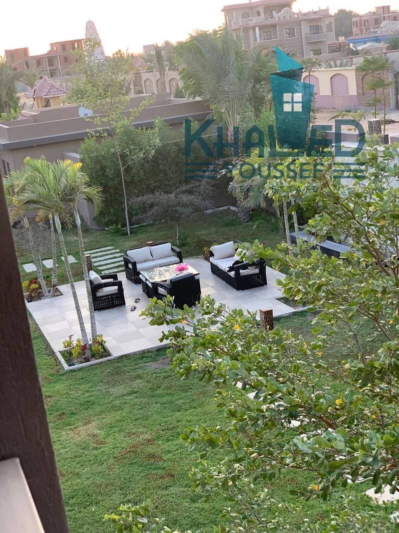 14 WhatsApp Image 2026-01-29 at 3.17. 31 PM. jpeg