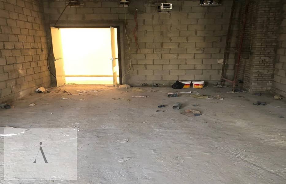 3 photo_2_2026-01-29_15-52-54. jpg