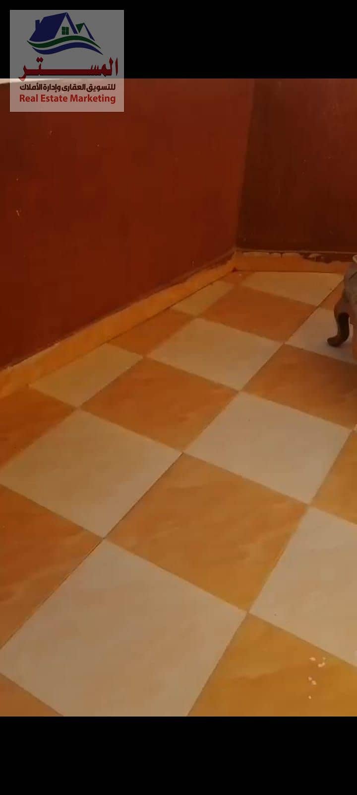 8 WhatsApp Image 2026-01-29 at 3.43. 35 PM (1). jpeg