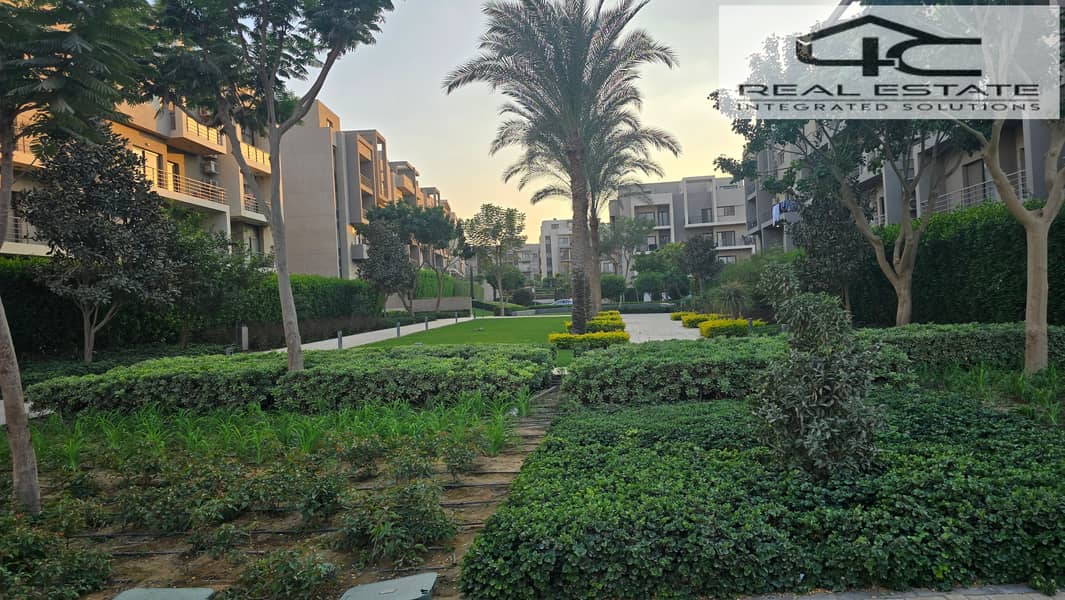 10 20251117_161450. jpg