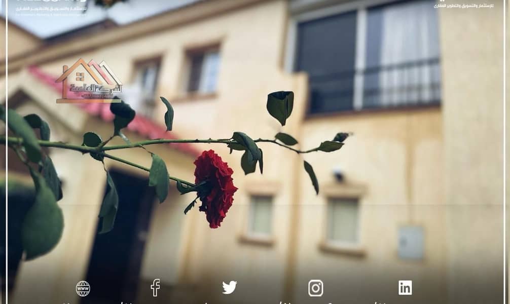 17 WhatsApp Image 2025-09-28 at 1.51. 19 PM (3). jpeg