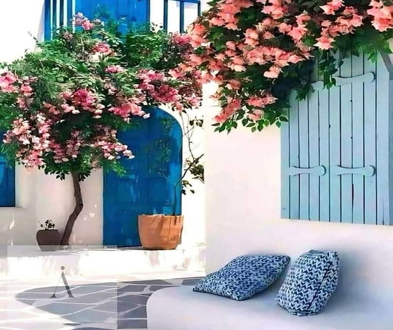 WhatsApp Image 2025-08-17 at 3.22. 24 PM (1). jpeg WhatsApp Image 2025-08-17 at 3.22. 24 PM (1). jpeg