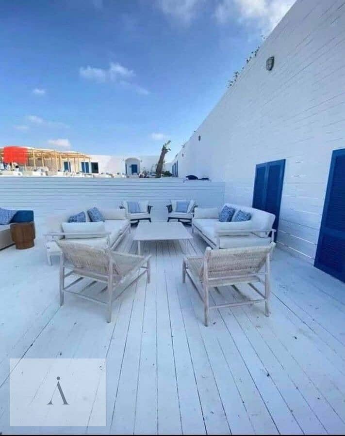 3 WhatsApp Image 2025-08-17 at 3.22. 25 PM (1). jpeg