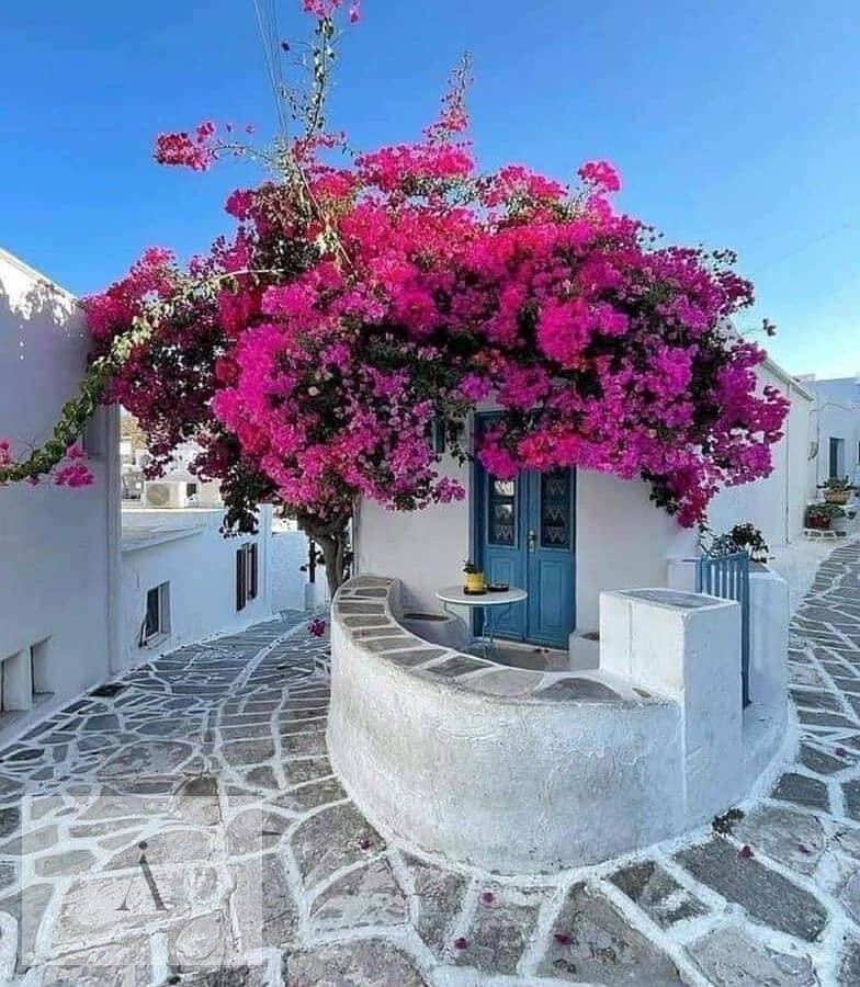 4 WhatsApp Image 2025-08-17 at 3.22. 25 PM (2). jpeg