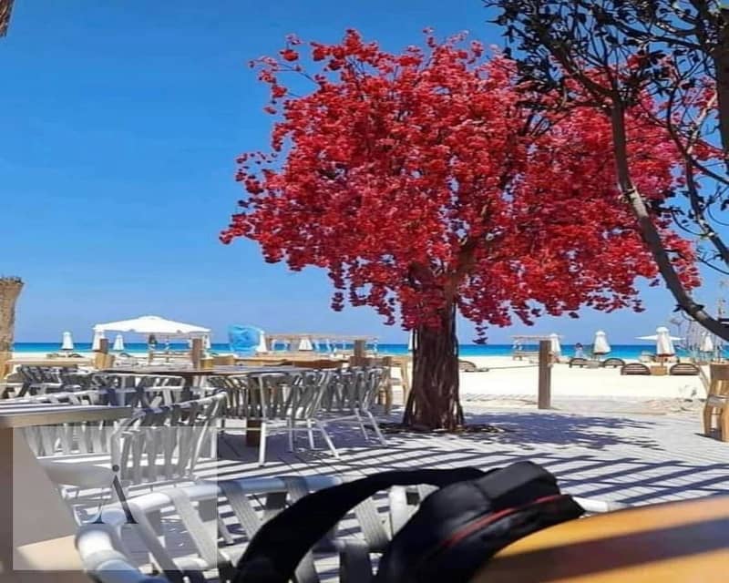 8 WhatsApp Image 2025-08-17 at 3.22. 25 PM (6). jpeg