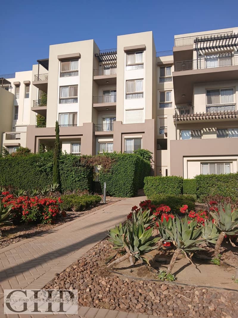 13 e4dc6864-f73f-4138-bc25-ce8d601ab45c. jpg